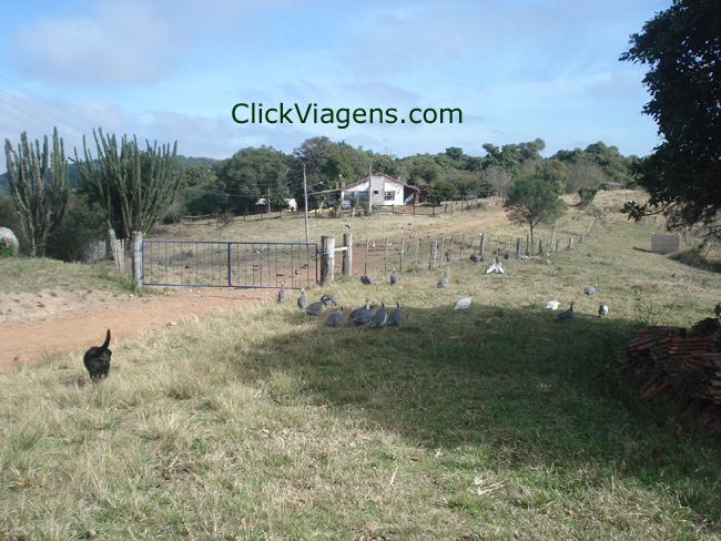 Hotel Fazenda Olho D��gua Camaqu� - RS